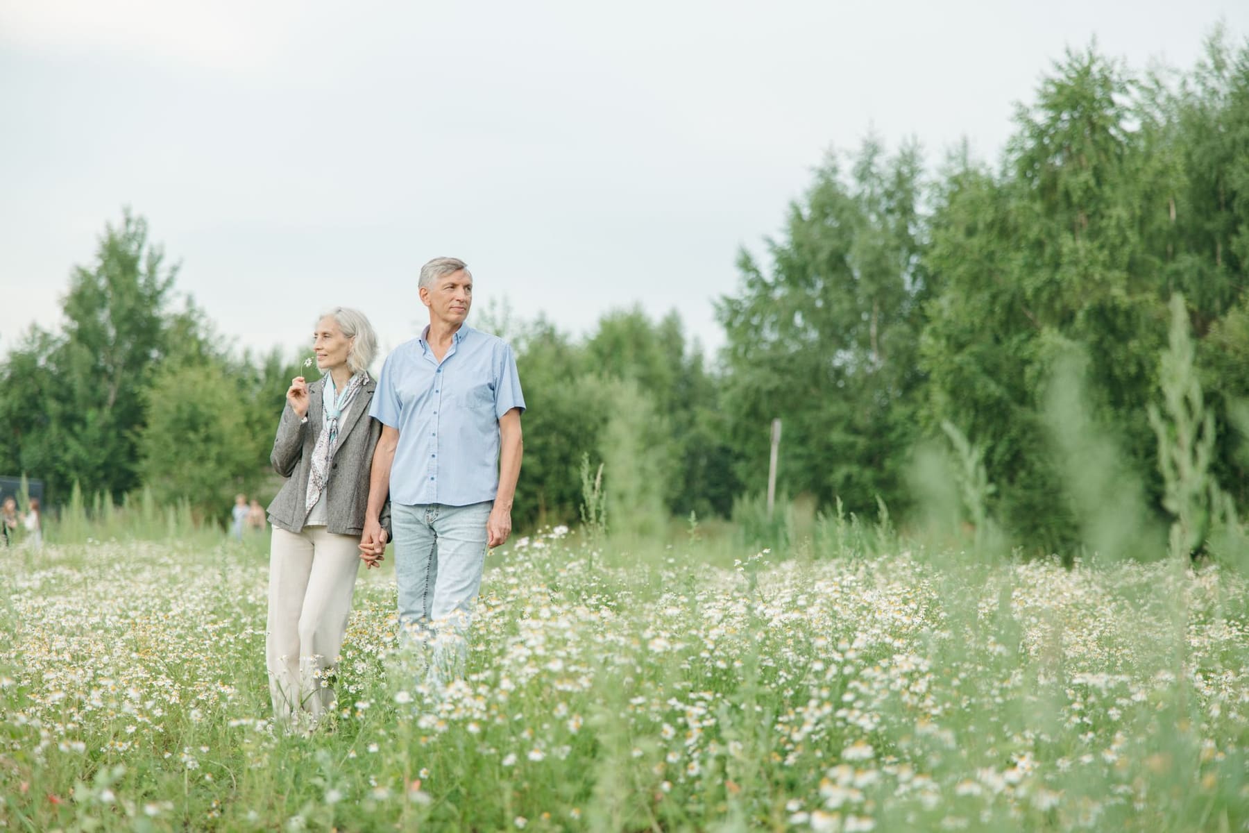 Two older adults walking side by side through a flower meadow on a sunny day
