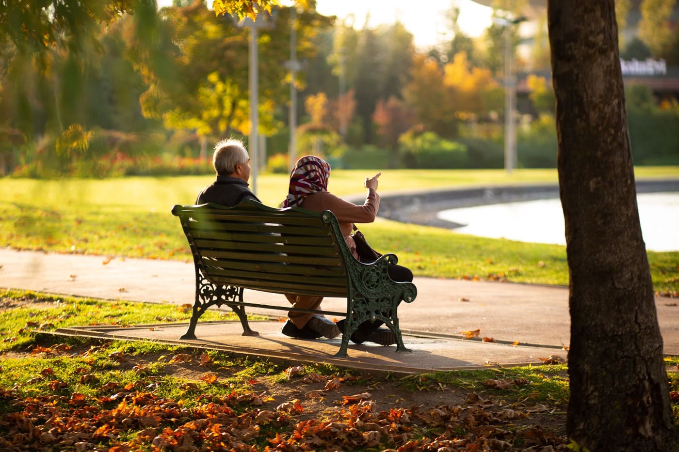 An older couple sitting on a park bench among autumn trees, one pointing across the grass toward a pond